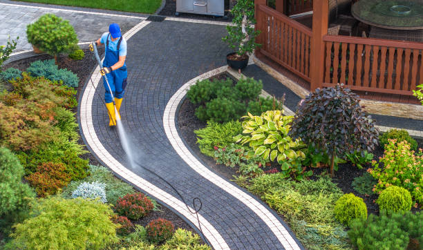 Best Pressure Washing Company Near Me  in San Rafael, NM